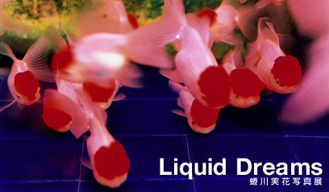 ²ּ̿ŸLiquid Dreams