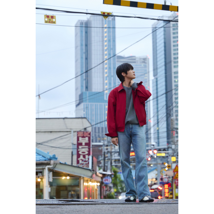 展示内容