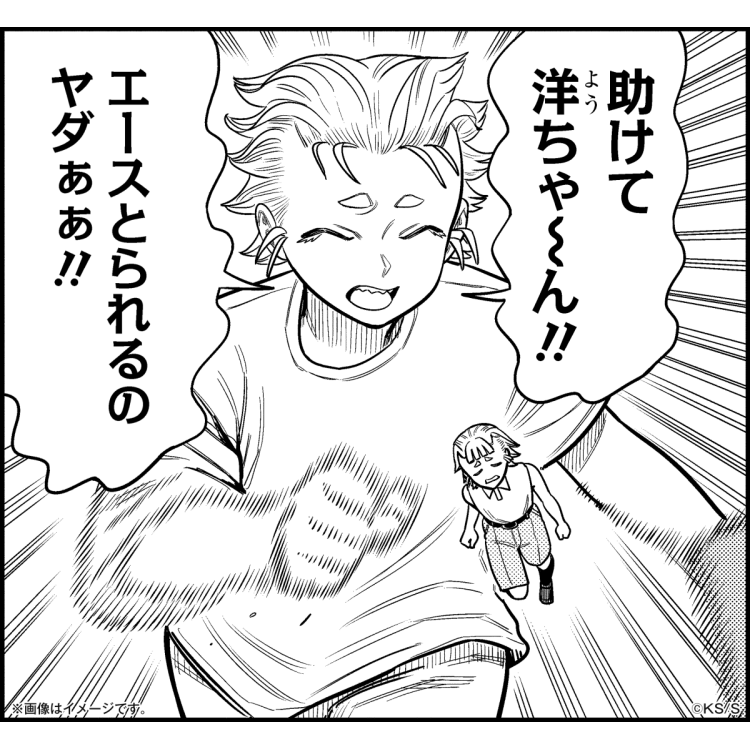 体験内容
