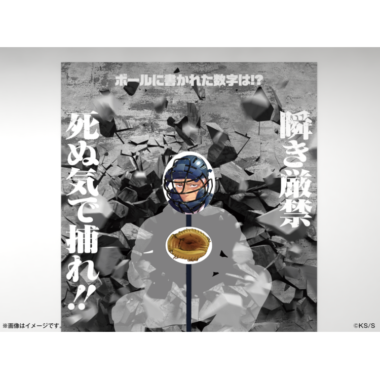 体験内容