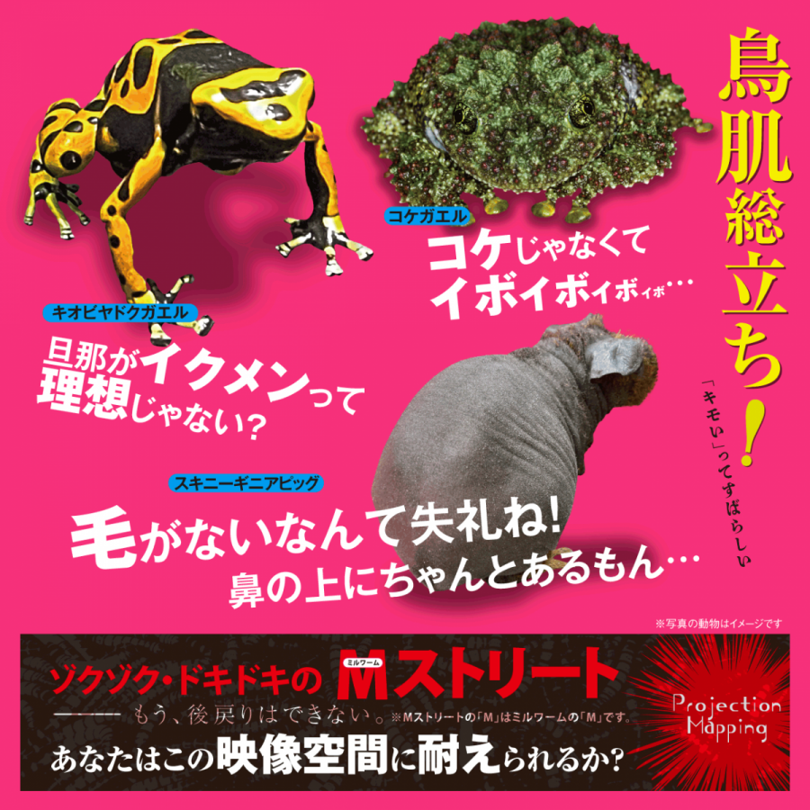 キモい展22 In広島 広島parco Parco Art