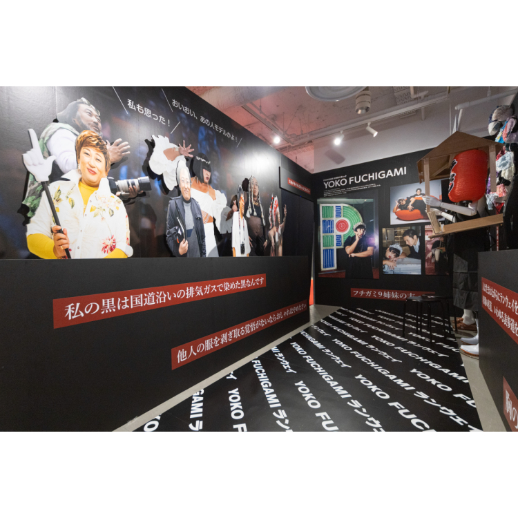 展示内容