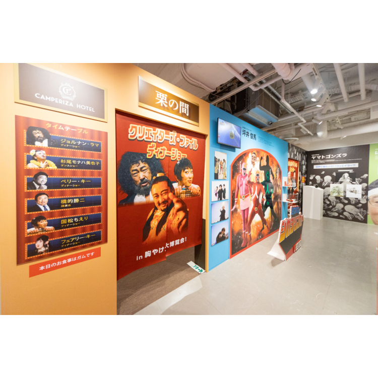 展示内容