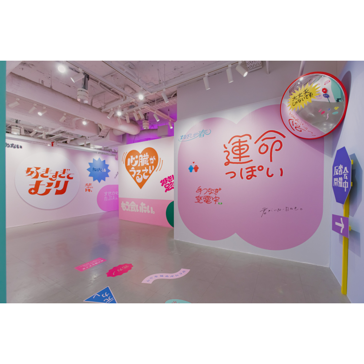 展示内容