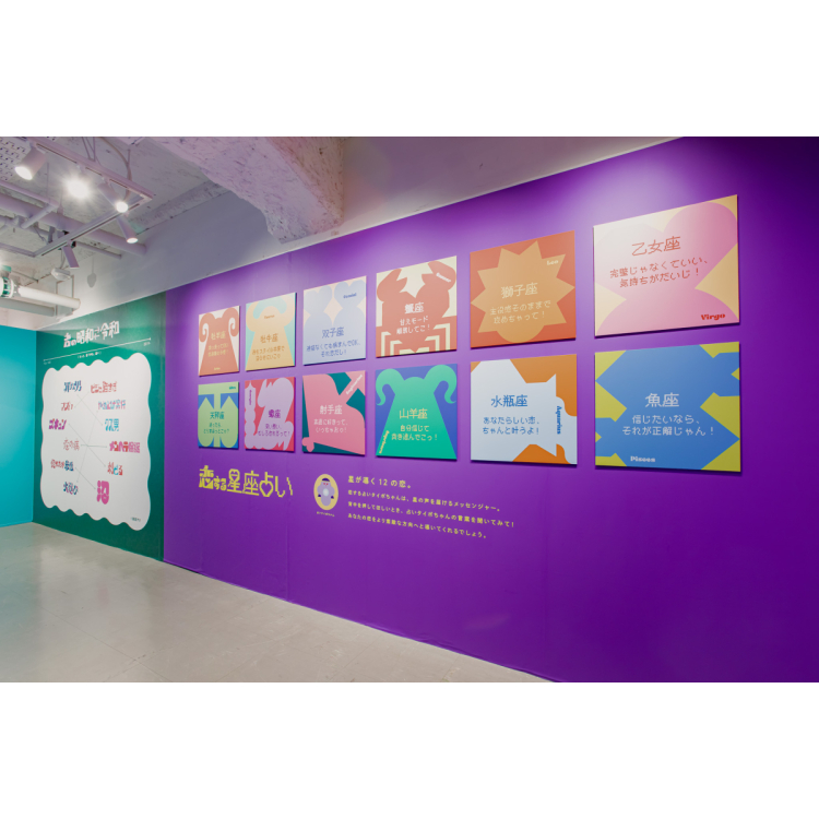 展示内容