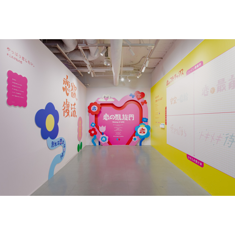 展示内容
