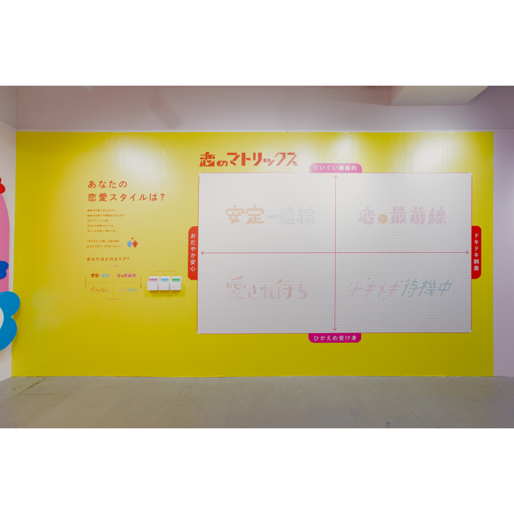 展示内容