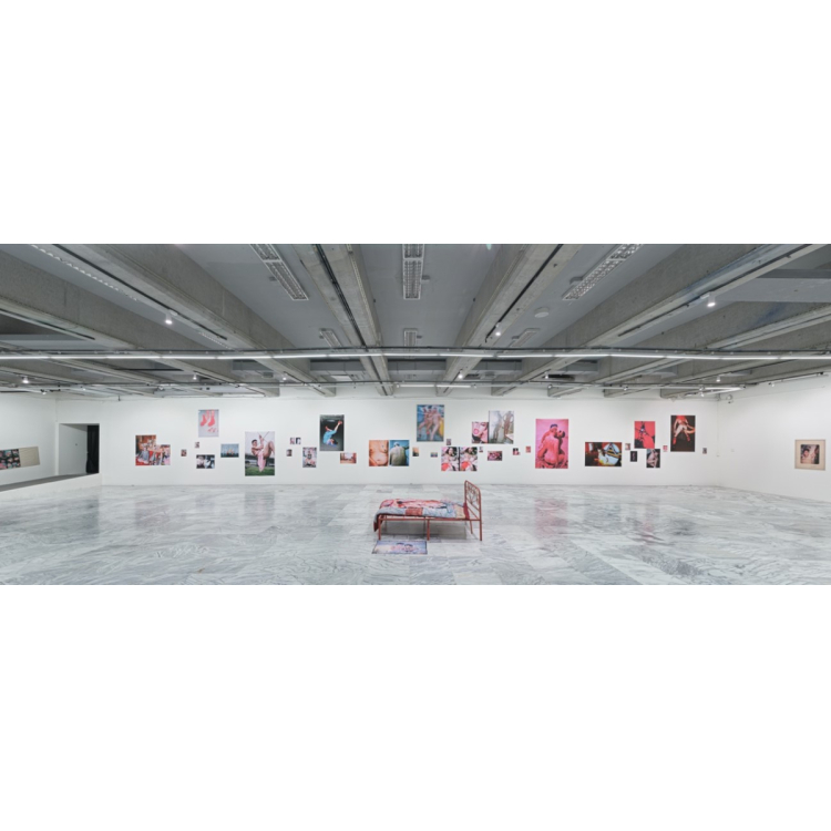 展示概要