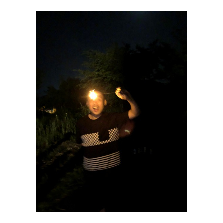 展示参加アーティスト