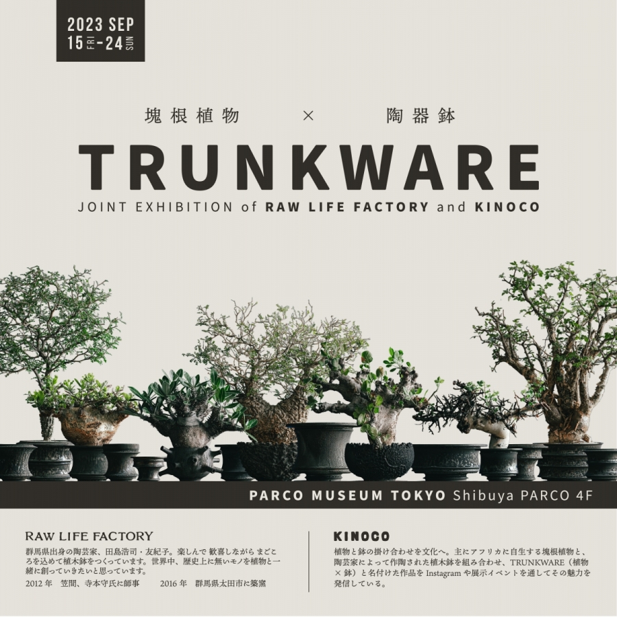 TRUNKWARE