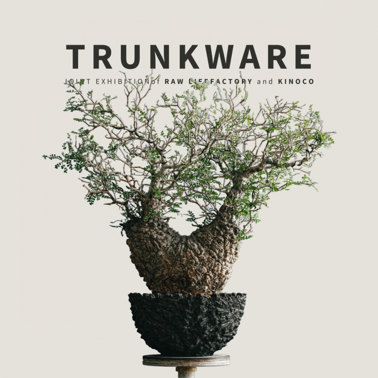 RawLifeFactoryの植木鉢及びTRUNKWARE作品の展示販売